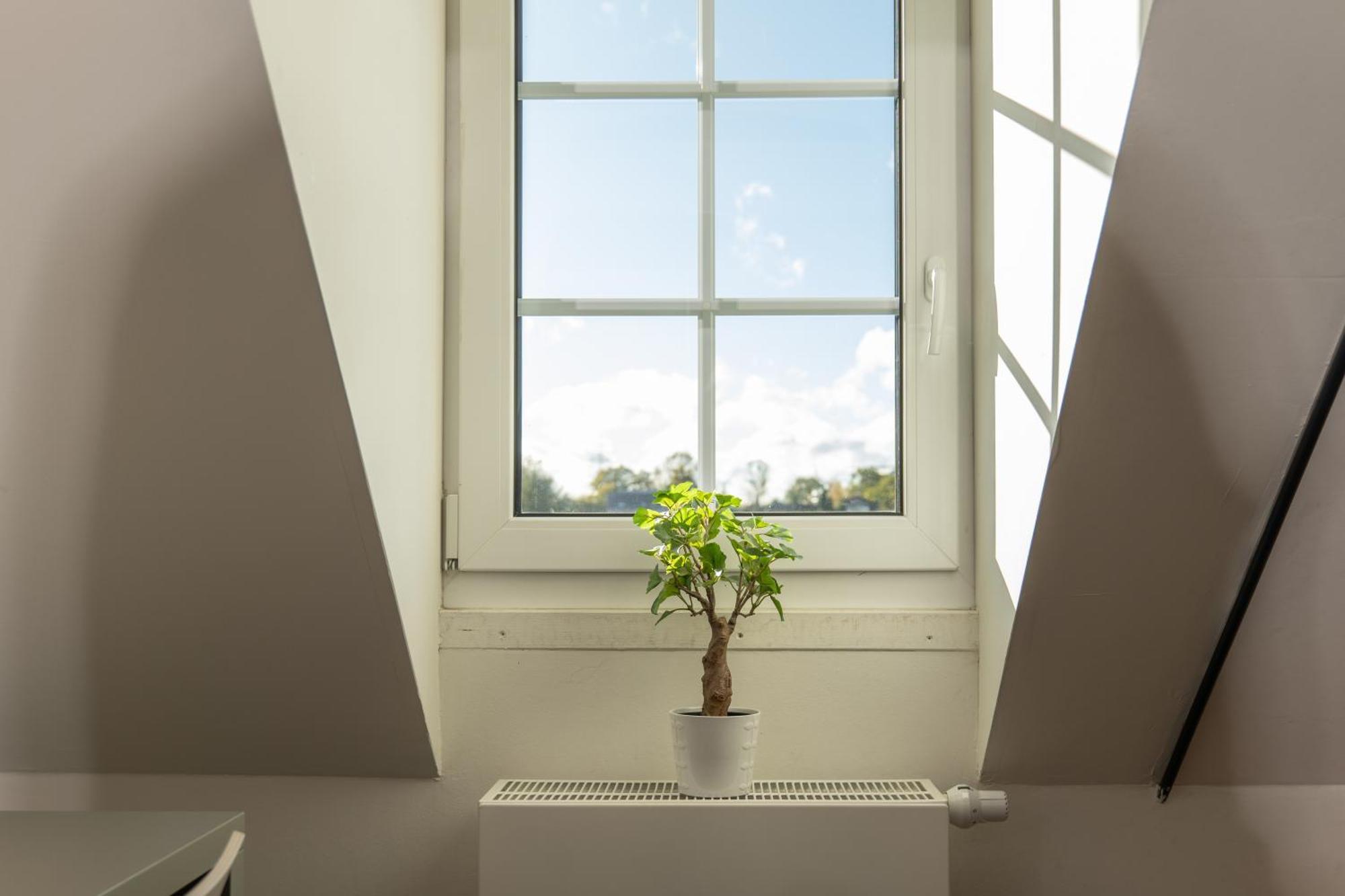Haus Overbach Julich Luaran gambar
